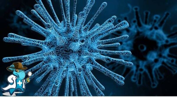 ¿Cuál es el Periodo de Carencia de un Seguro de Salud Para Covid en España?