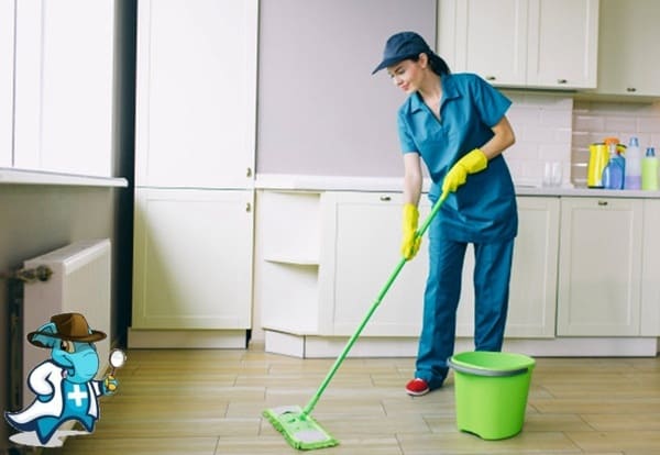 ¿Cuál es el Periodo de Carencia de un Seguro de Salud Para Empleadas del Hogar en España?