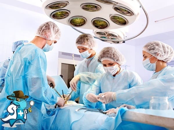 ¿Cuál es el Periodo de Carencia de un Seguro de Salud Para Operación en España?