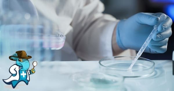 ¿Cuál es el Periodo de Carencia de un Seguro de Salud Para Reproducción en España?