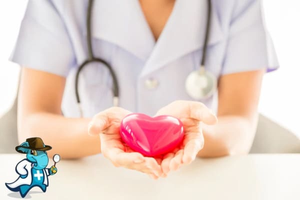 ¿Cuánto Cuesta un Seguro de Salud Para Estudiantes Según la OCU en España?