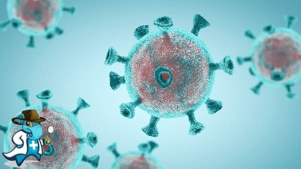 ¿Qué Influye en el Precio de un Seguro de Salud Para Covid en España?