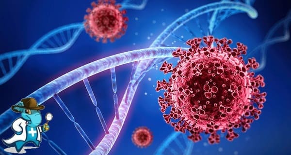 Seguro de Salud Para Covid más Barato 2022 en España