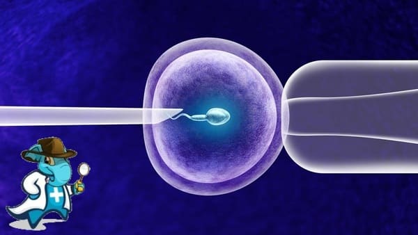Seguro de Salud Para Reproducción Asistida más Barato   2024 en España