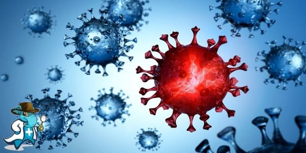 ¿Cuánto Cuesta un Seguro de Salud Para COVID en España?