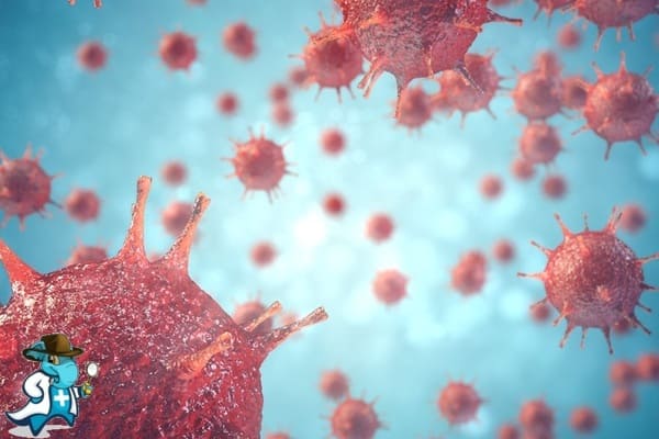 Mejor Seguro de Salud Para Seropositivos 2024 en España