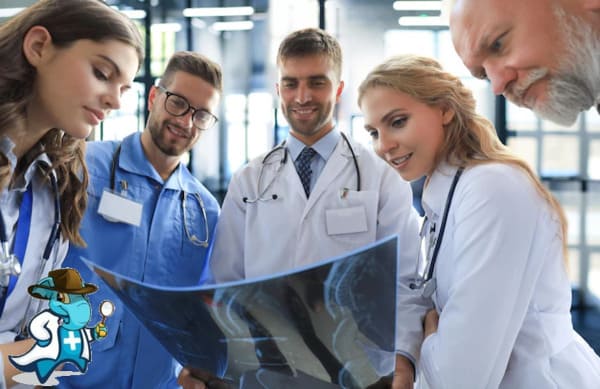 Mejores Seguros de Salud Privados Según la OCU   2024 en España
