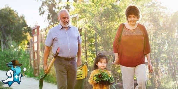 ¿Cuánto Cuesta un Seguro de Gastos Médicos Para Jubilados en España?