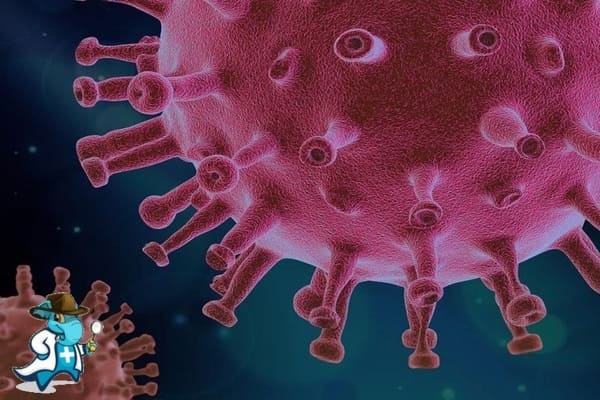 ¿Cuánto Vale un Seguro de Salud Para COVID en España?