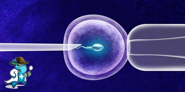 ¿Cuánto Vale un Seguro de Salud Para Reproducción Asistida en España?