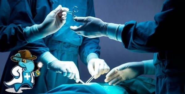 ¿Cuánto Vale un Seguro de Salud que Cubra una Operación en España?