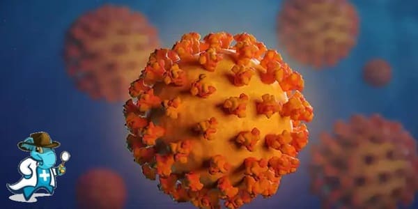 Mejor Aseguradora de Salud Para COVID 2024 en España