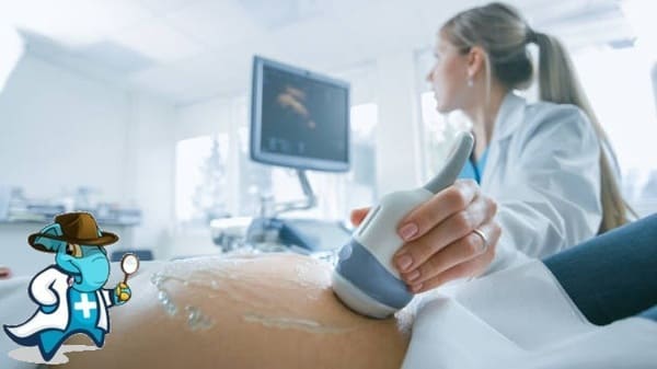 Mejor Aseguradora de Salud Para Embarazadas 2024 en España