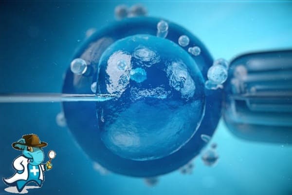 Mejor Seguro de Gastos Médicos Para Reproducción Asistida   2024 en España
