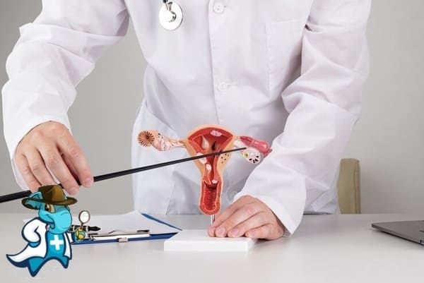 ¿Qué Exclusiones Tiene un Seguro de Salud Para Reproducción Asistida en España?