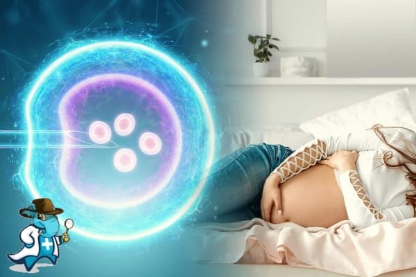 ¿Qué Inconvenientes Tendría Para Contratar un Seguro de Salud Para Reproducción Asistida en España?