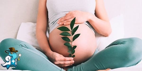 ¿Qué Inconvenientes Tendría Para Contratar un Seguro de Salud sin Carencia para Embarazo en España?