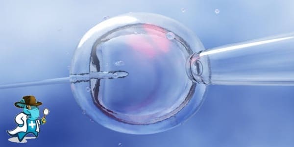 ¿Cuál es el Periodo de Carencia de un Seguro de Salud Para Reproducción Asistida en España?