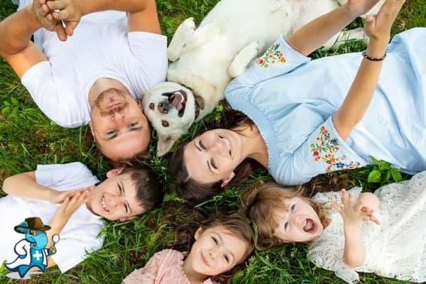 ¿Cuál es el Periodo de Carencia de un Seguro de Salud Para una Familia Numerosa en España?
