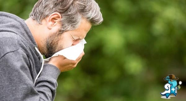 Mejor Seguro de Salud que Cubra Alergia y Asma   2024 en España