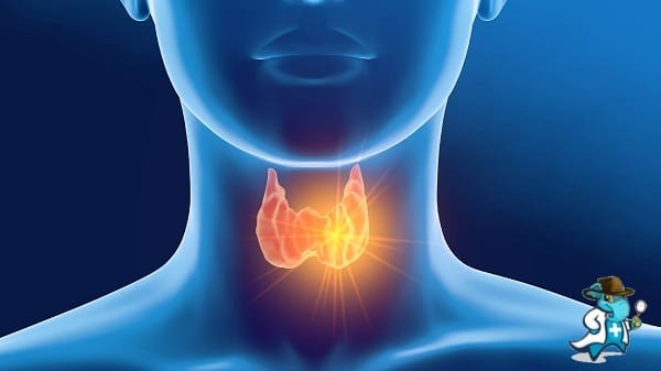 Mejor Seguro de Salud que Cubra Endocrinología   2024 en España