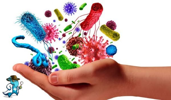 Mejor Seguro de Salud que Cubra Enfermedades Infecciosas 2024 en España