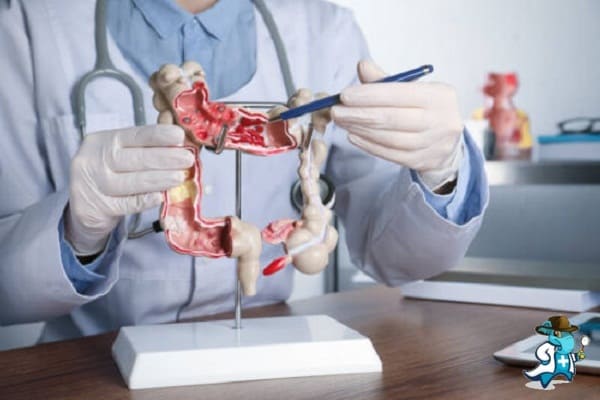 Mejor Seguro de Salud que Cubra Gastroenterología   2024 en España