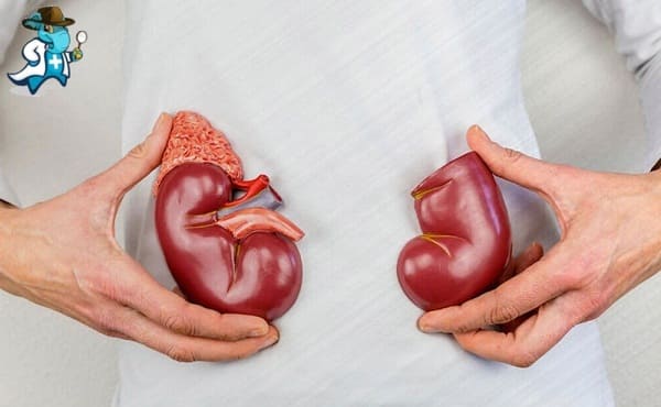 Mejor Seguro de Salud que Cubra la Nefrología   2024 en España