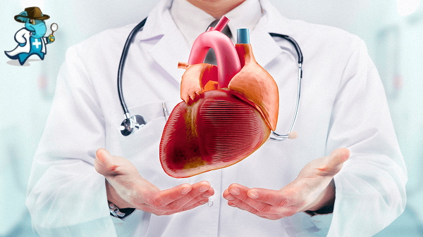 Qué Carencia Tendría un Seguro de Salud que Cubra Cardiología en España