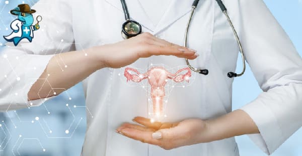 Qué Exclusiones Tendría un Seguro de Salud que Cubra la Ginecología y Obstetricia en España