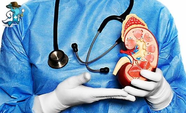¿Qué Exclusiones Tendría un Seguro de Salud que Cubra la Nefrología en España?