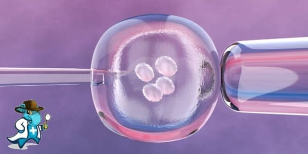 ¿Qué Influye en el Precio de un Seguro de Salud Para Reproducción Asistida en España?