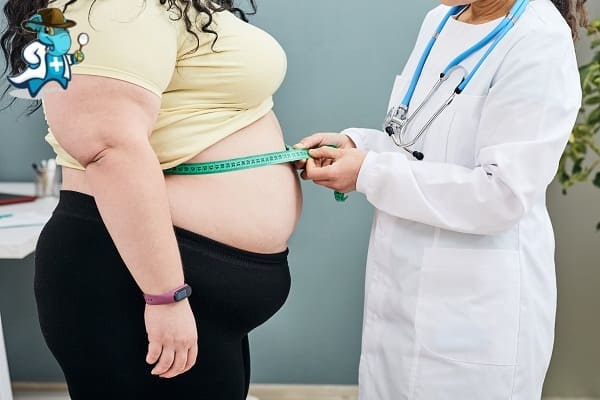 Qué Influye en el Precio de un Seguro de Salud para Obesos en España