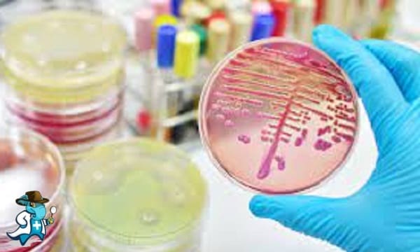 ¿Qué Periodo de Carencia Tendría un Seguro de Salud que Cubra Enfermedades Infecciosas en España?