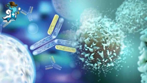 Qué Periodo de Carencia Tendría un Seguro de Salud que Cubra la Inmunología en España