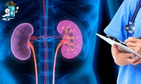 ¿Qué Periodo de Carencia Tendría un Seguro de Salud que Cubra la Nefrología en España?