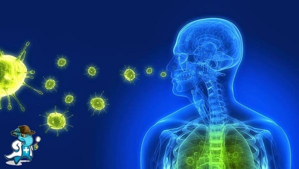 ¿Qué exclusiones Tendría un Seguro de Salud que Cubra Enfermedades Infecciosas en España?