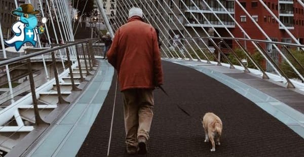Seguro de Salud Para Pensionados más Económico   2024 en España