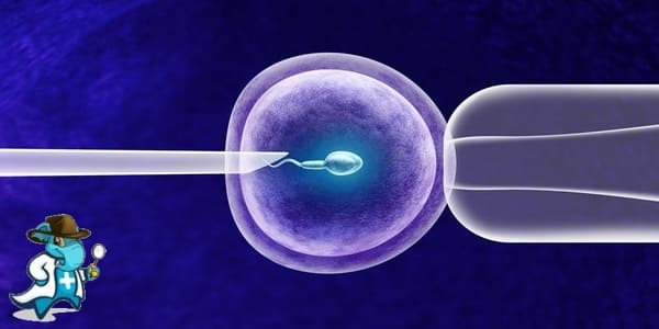 Seguro de Salud Para Reproducción Asistida más Económico   2024 en España