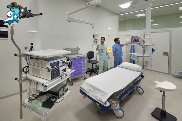 Cubre el Seguro de Salud la Gastroscopia en España