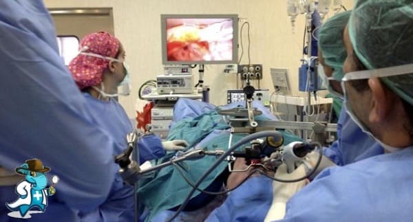 Qué Periodo de Carencia Tiene un Seguro de Salud que Cubra la Laringoscopia en España