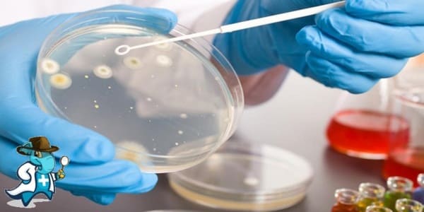 ¿Cuánto Cuesta un Seguro de Salud que Cubra el Análisis de Cultivo de Esputo en España?