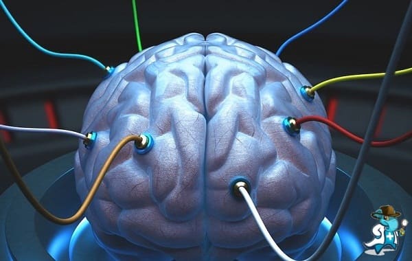 Cuánto Cuesta un Seguro de Salud que Cubra el Estudio de Potenciales Evocados en España