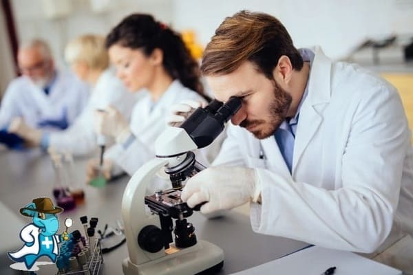 ¿Cubre el Seguro de Salud el Análisis de Cultivo de Esputo en España?