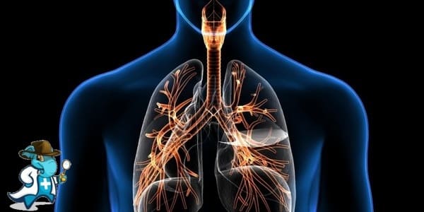 Mejor Seguro de Salud que Cubra Trastornos de las Vías Respiratorias 2024 en España