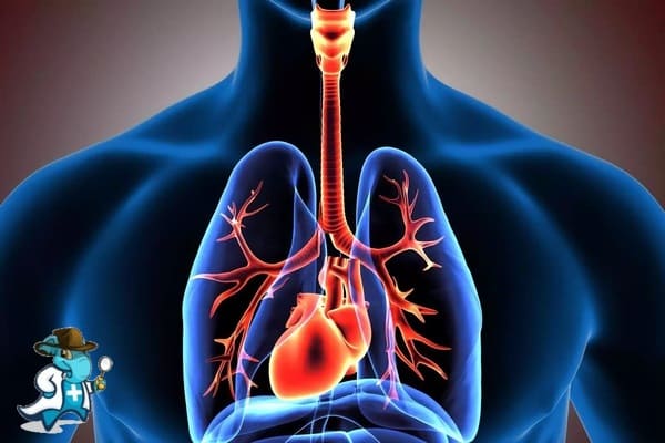 ¿Qué Exclusiones Tendría un Seguro de Salud que Cubra Trastornos de las vías Respiratorias en España?