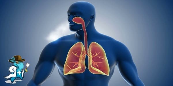 ¿Qué Periodo de Carencia Tendría un Seguro de Salud que Cubra Trastornos de las Vías Respiratorias en España?