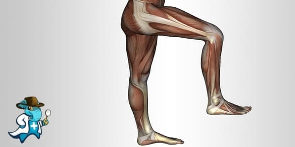 ¿Cuánto Cuesta un Seguro de Salud que Cubra Dolor en el Hueso de la Tibia en España?