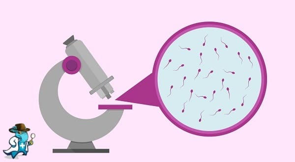 ¿Cuánto Cuesta un Seguro de Salud que Cubra el Seminograma o Espermiograma en España?