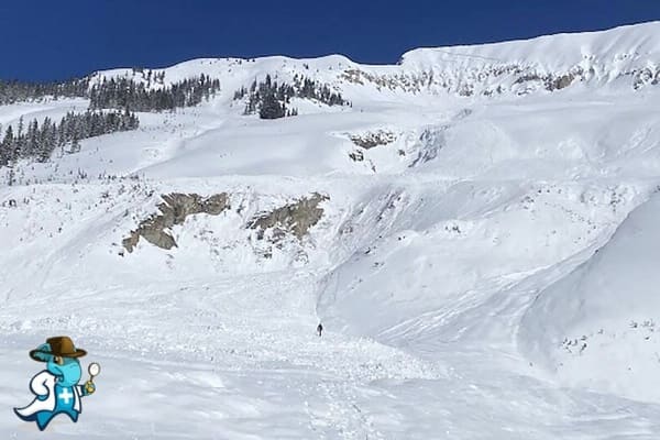 ¿Me Cubre el Seguro de Salud en Caso de un Alude o Avalancha en España?